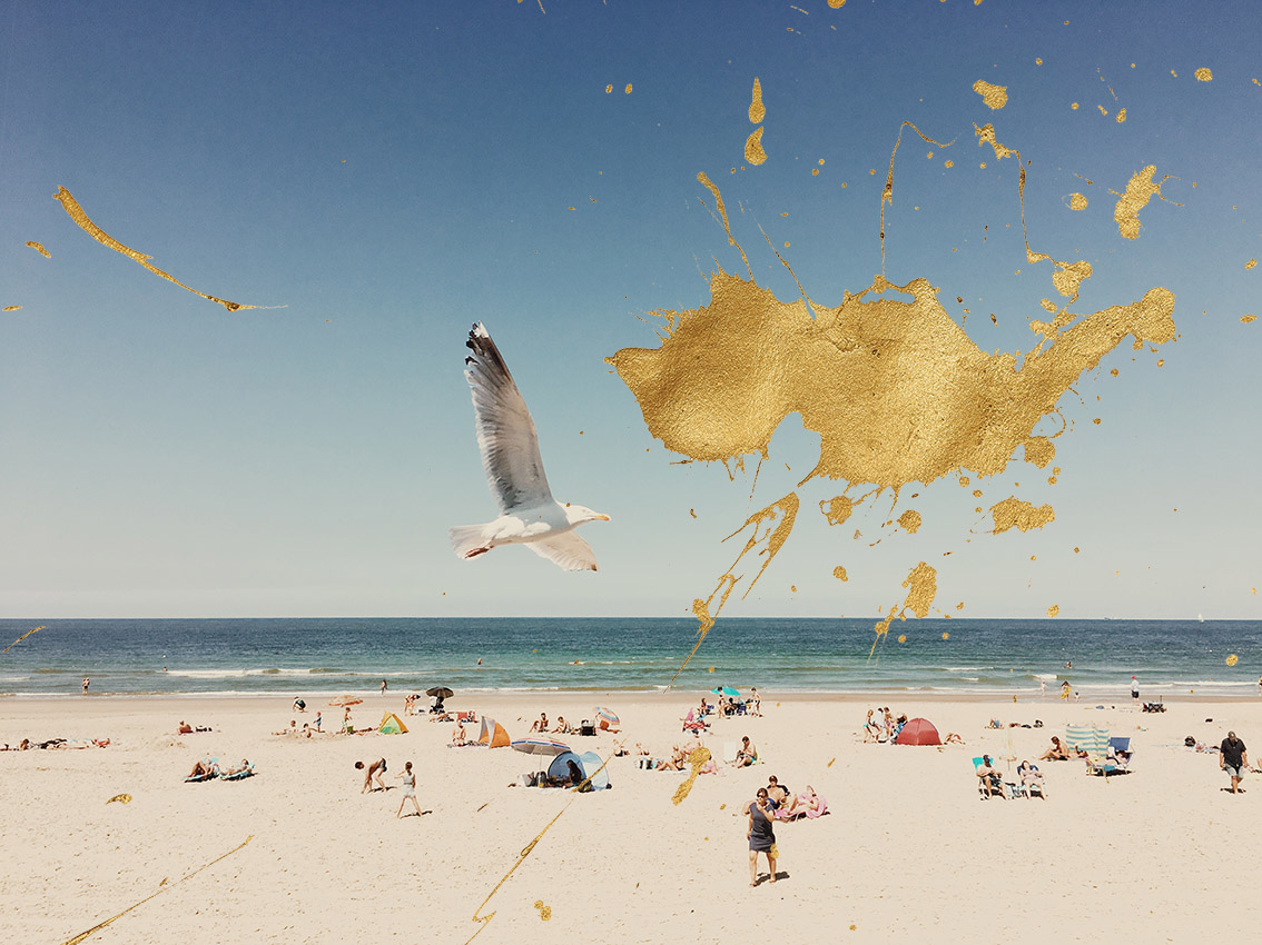 P8 Webadmin - Bild 5