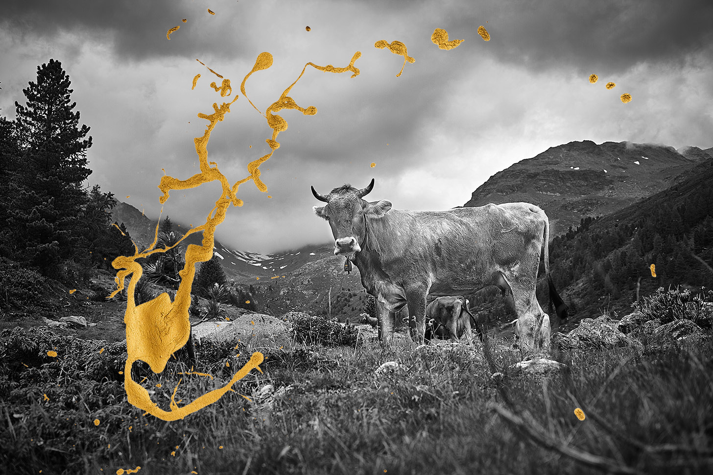 P8 Webadmin - Bild 4