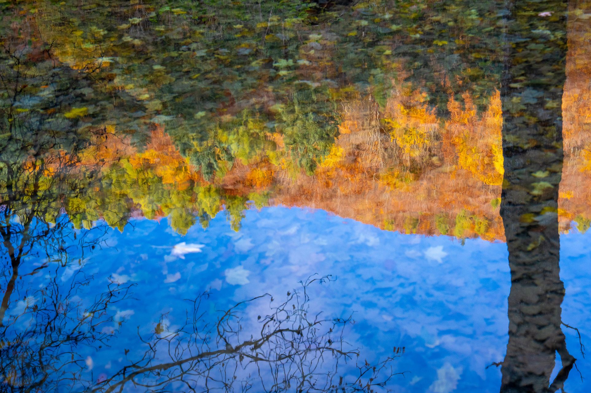 P8 Webadmin - Bild 2