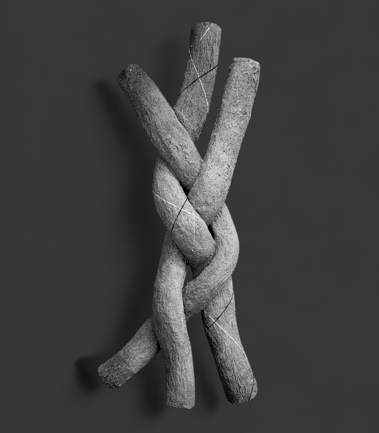 P8 Webadmin - Bild 4