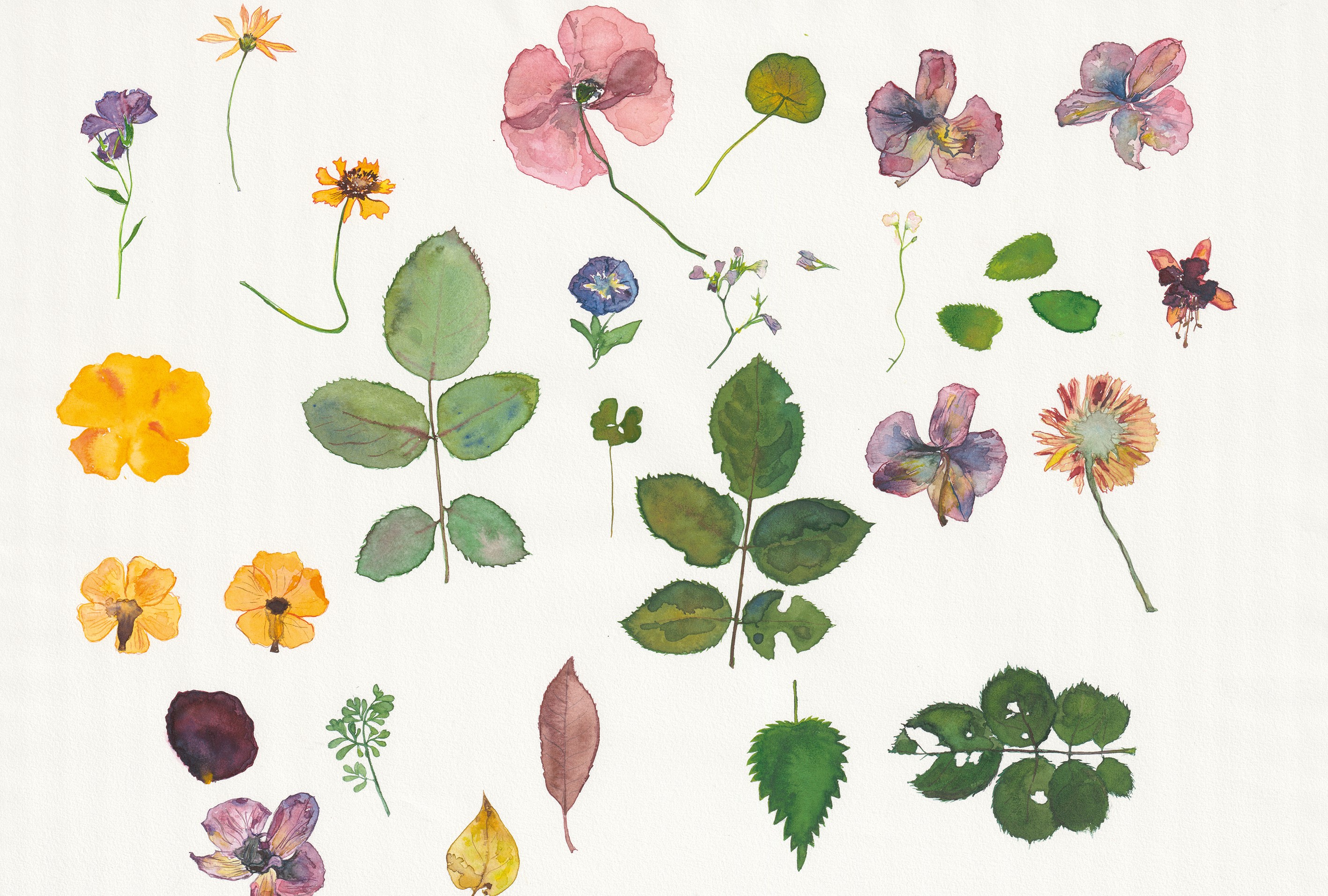 P8 Webadmin - Bild 2