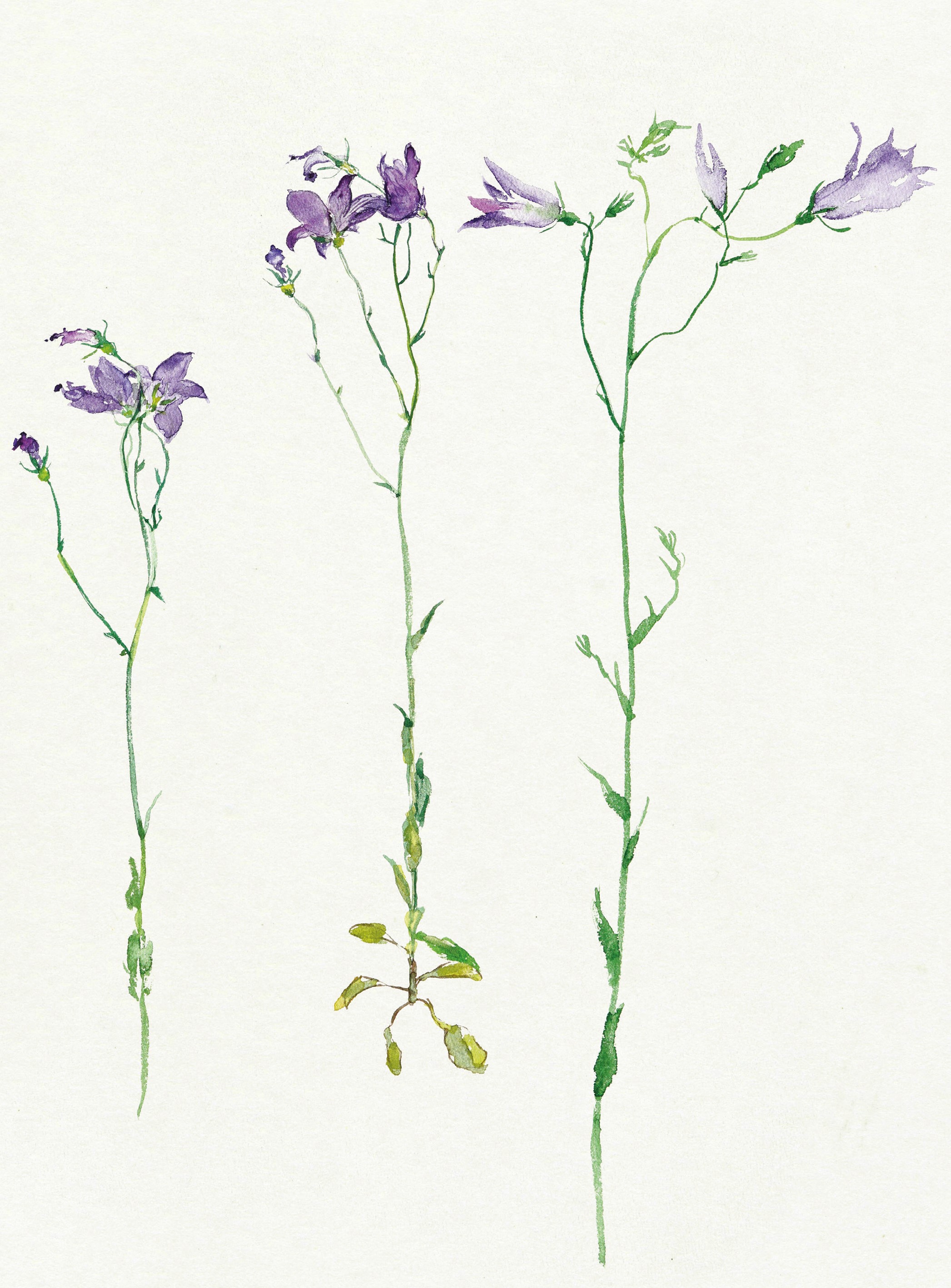 P8 Webadmin - Bild 3