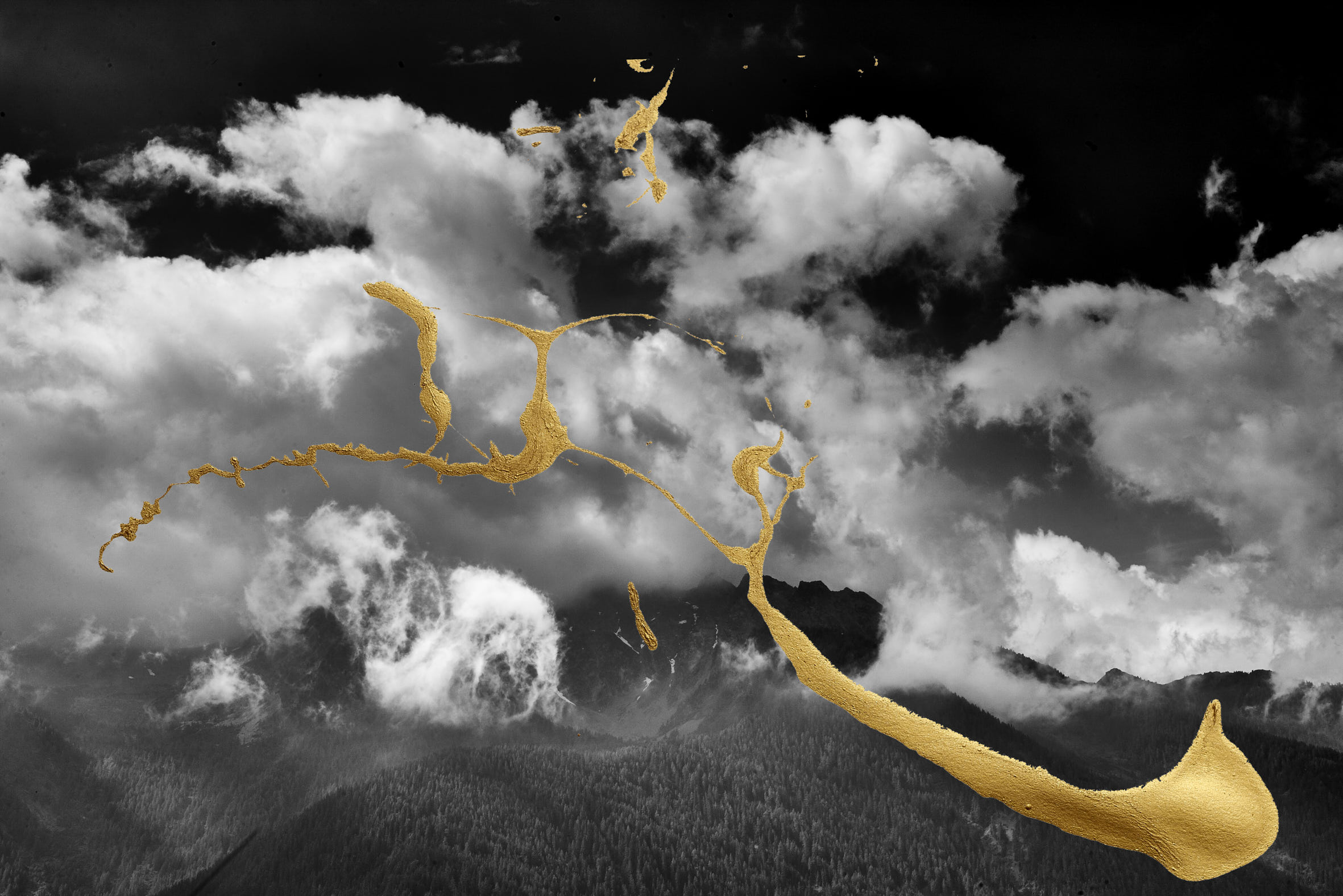 P8 Webadmin - Bild 3