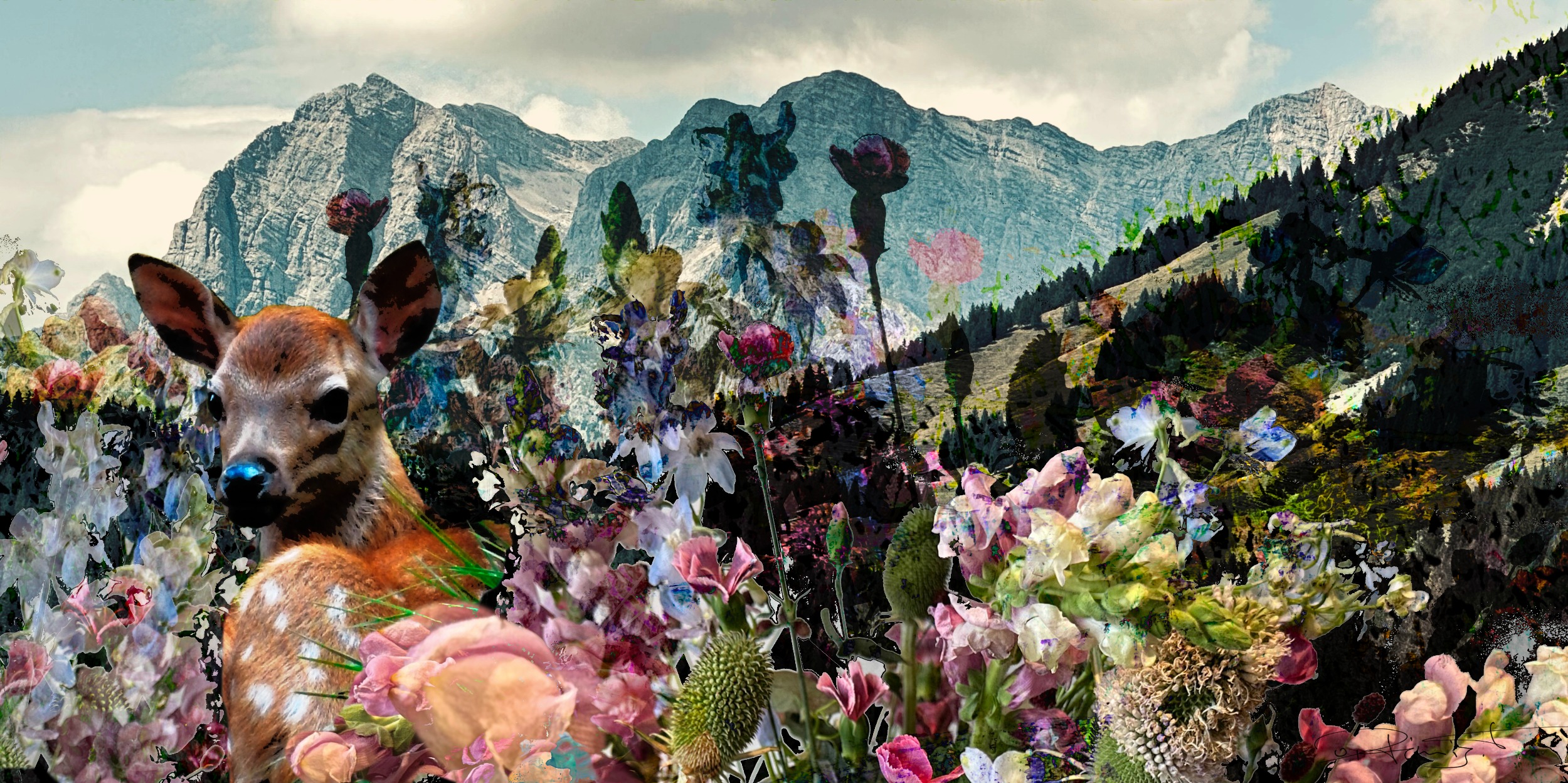 P8 Webadmin - Bild 2