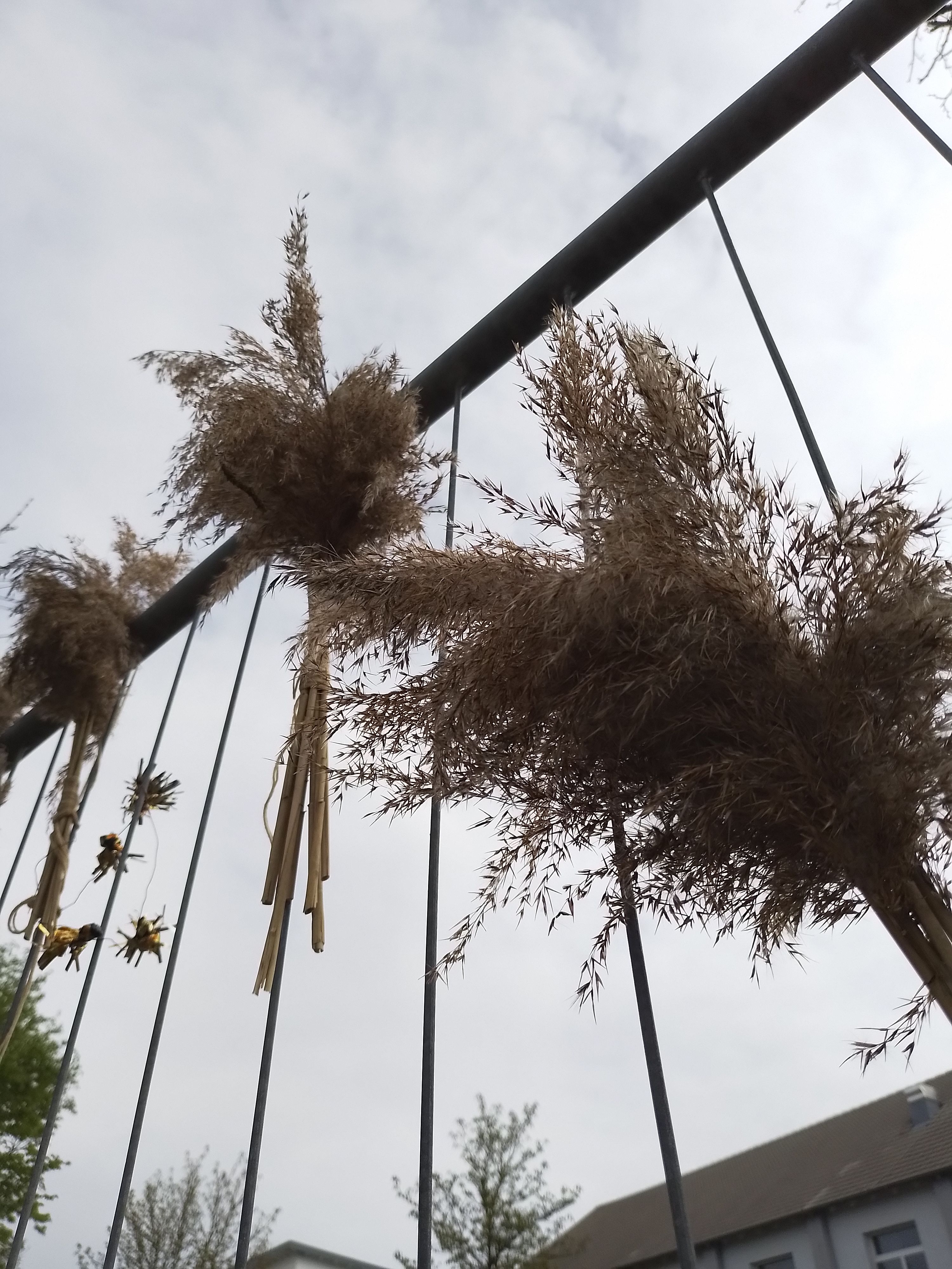 P8 Webadmin - Bild 3