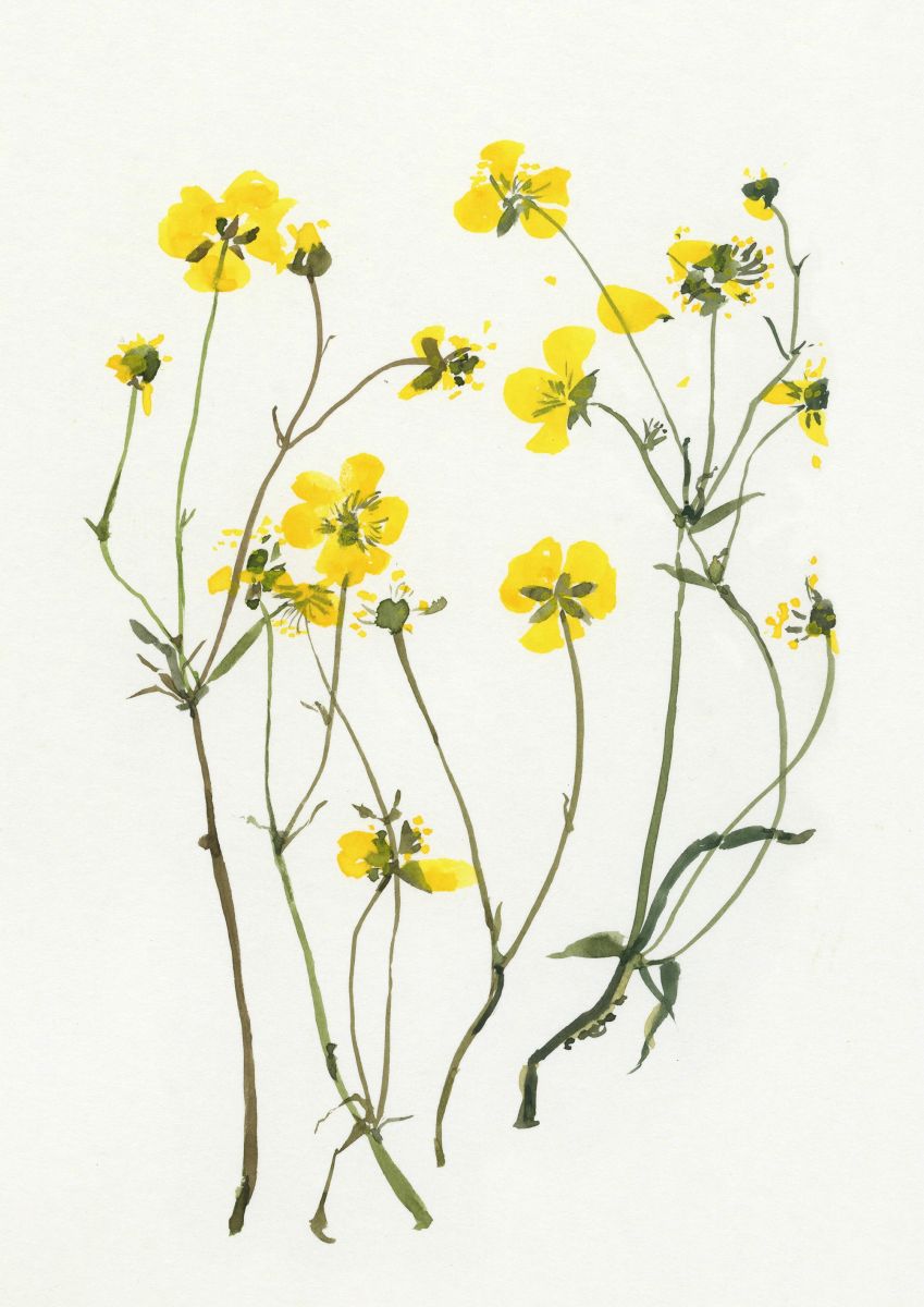 Nathalie Wolff - Vorschaubild