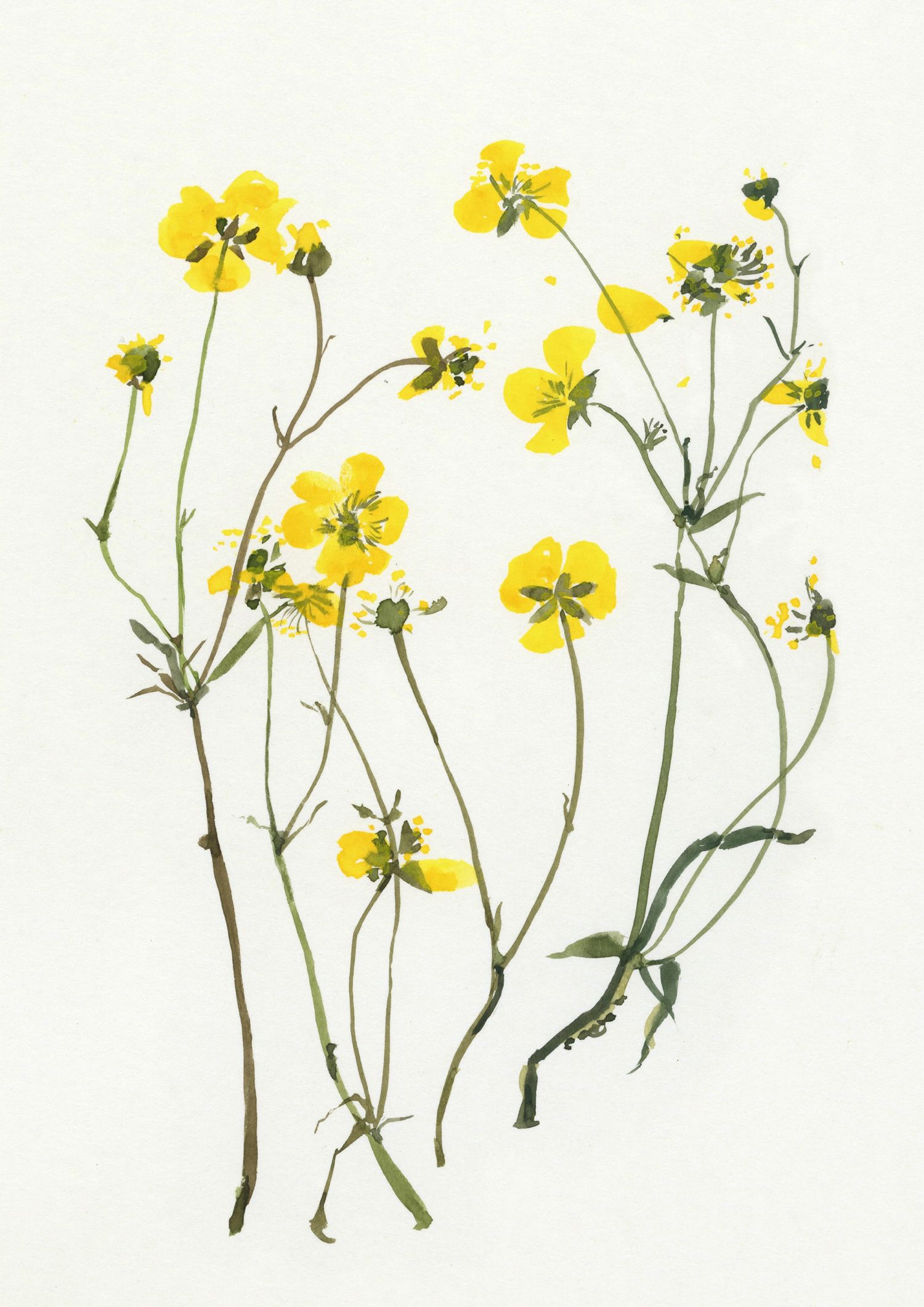 P8 Webadmin - Bild 1